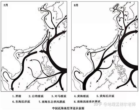 中國沿岸流是寒流還是涼流|什么是中国沿岸流？